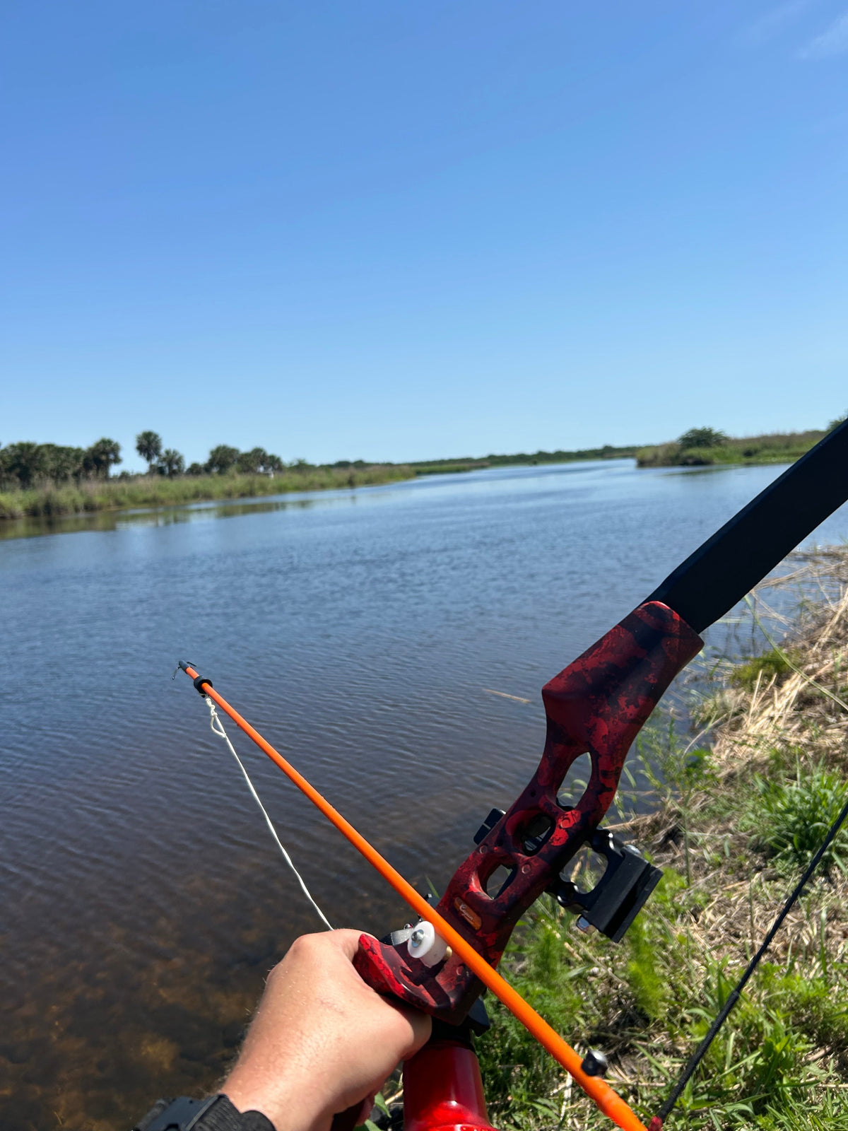 Beginner's Guide to Bowfishing: Everything You Need to Get Started