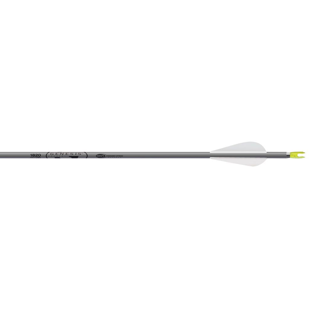 Easton Genesis Arrows 1820 3 in. Vanes 6 pk.