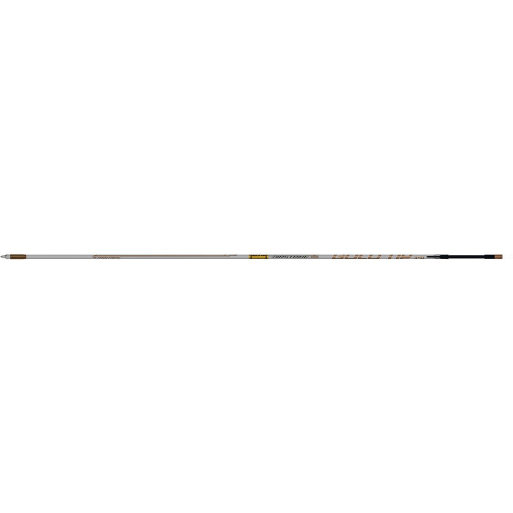 Gold Tip AirStrike Arrows Raptor Vanes 6 pk. - Gregory Archery