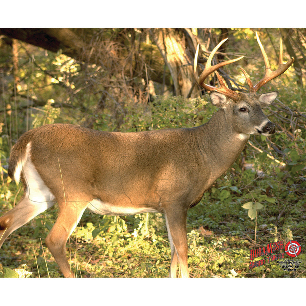 DuraMesh Archery Target Whitetail 3 25 in. x 32 in.
