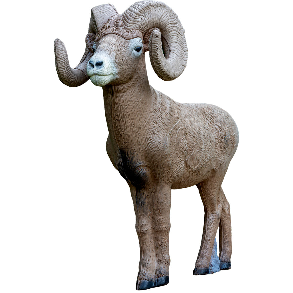 Rinehart ? Scale Signature Bighorn Sheep Target